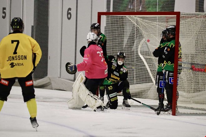 Kritiken efter tappat p hemmaplan: 