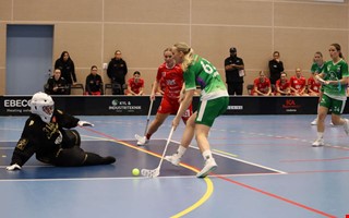 Lindome tappade pong trots dubbla ledningar 