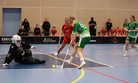 Lindome tappade pong trots dubbla ledningar 