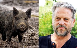 Rekord under vildsvinsjakten  s mnga flldes