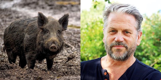 Rekord under vildsvinsjakten  s mnga flldes