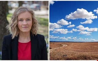 Partiet vill dubbla kommunens markinkp