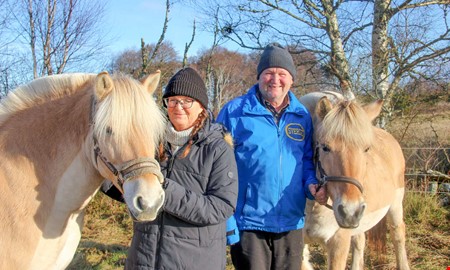 ver 30 r med hstarna vid Tjolholms slott
