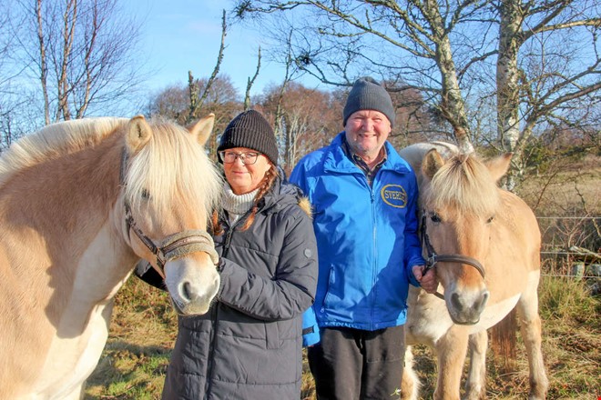 ver 30 r med hstarna vid Tjolholms slott