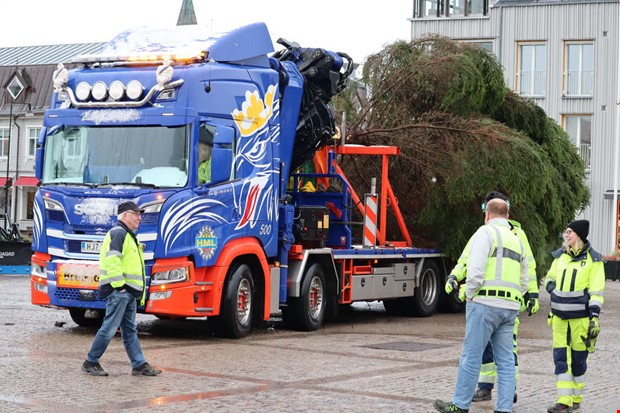 Årlig tradition – nu är julgranen på plats på torget Årlig tradition – nu är julgranen på plats på torget