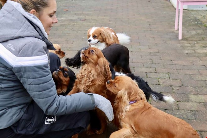 Sofie fder upp Hallands nya landskapshundar