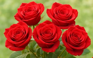 Babyrytmik och hjlpsam man i matbutiken hyllas