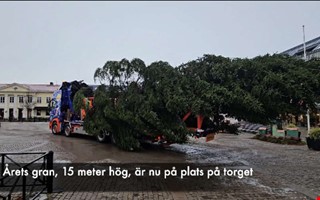 Hr anlnder granen till torget  se filmen