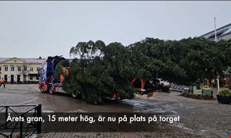 Hr anlnder granen till torget  se filmen