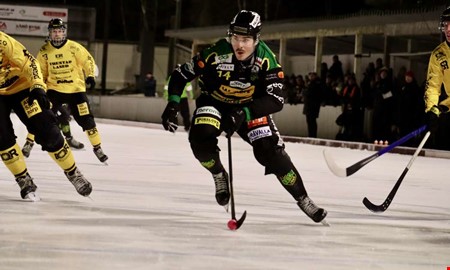 Nyfrvrvets slog till omgende p Sjaremossen