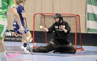 Mlvakten om utbrottet: Det rann ver lite