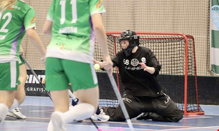 Mlvakten om utbrottet: Det rann ver lite