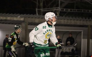 Stjrnan tillbaka hos konkurrenten till Frilless lycka