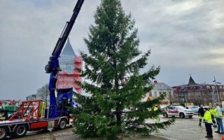 Julinvigning regnar och blser bort