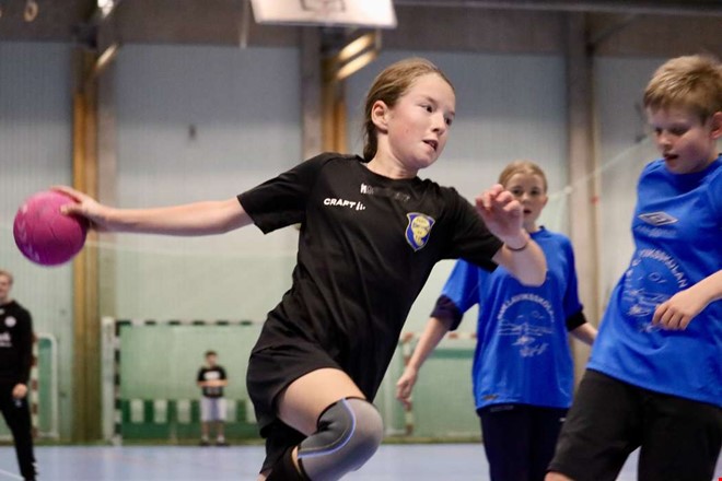 Bildextra: Skolkampen fr sexorna i handboll