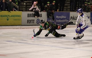 Frilless lyckades inte r p mstarna