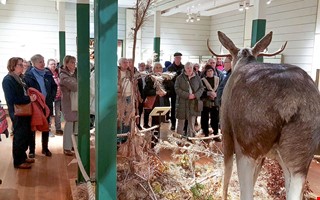 Julig julmarknad och �lgar