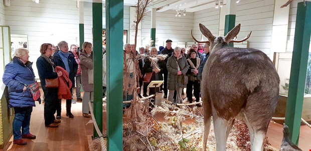 Julig julmarknad och �lgar