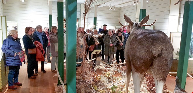 Julig julmarknad och �lgar