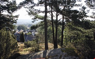 Debatt: Satsar p bttre framkomlighet och en grn stad 