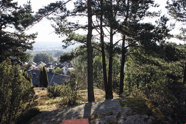 Debatt: Satsar på bättre framkomlighet och en grön stad Debatt: Satsar på bättre framkomlighet och en grön stad