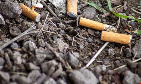 Ny ranking: Kungsbacka tar stora kliv mot skrp