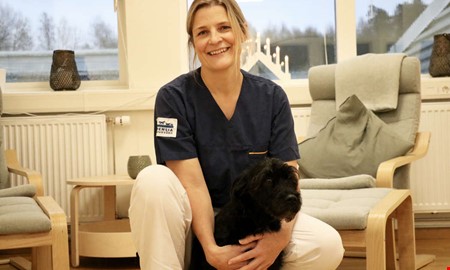 Veterin�ren: S� skyddar du ditt djur under jul 