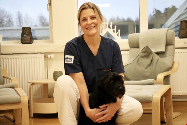 Veterin�ren: S� skyddar du ditt djur under jul 