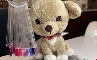 Lurvig hund borta  barnen efterlyser Herr Jobbsson