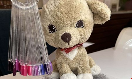 Lurvig hund borta  barnen efterlyser Herr Jobbsson