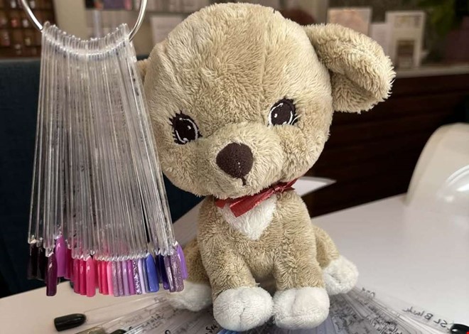 Lurvig hund borta  barnen efterlyser Herr Jobbsson