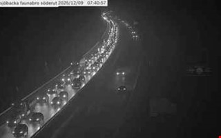 Stillastende lastbil skapade lnga ker p E6