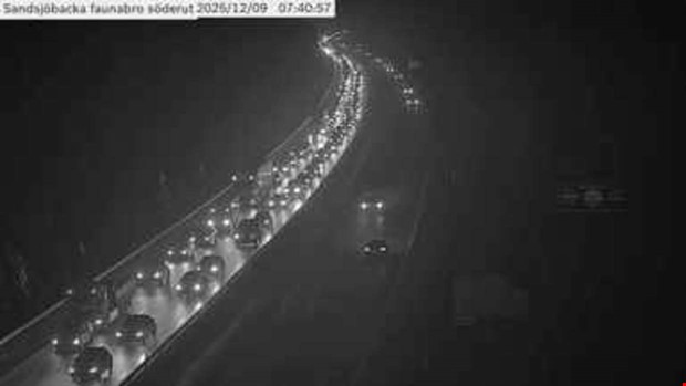 Stillastående lastbil skapade långa köer på E6 Stillastående lastbil skapade långa köer på E6