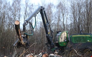 Nu faller trden fr nya Onsalavgen