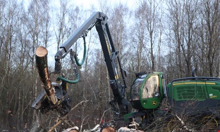 Nu faller träden för nya Onsalavägen