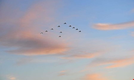 Beskedet: S blir det med rets julgransflygning