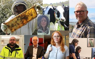 �rskr�nika: M�ten jag annars inte hade varit med om 