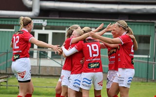 Nyfrvrvet blev vertalad av ett annat nyfrvrv