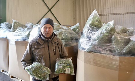 H�gtryck inf�r julen � gr�nk�len packas f�r fullt