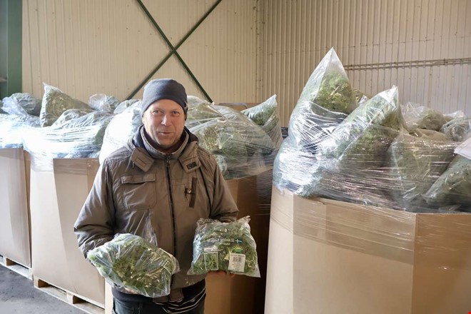 H�gtryck inf�r julen � gr�nk�len packas f�r fullt