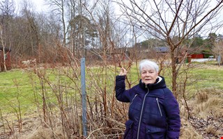 �rskr�nika: Ulla vann sin r�tteg�ng