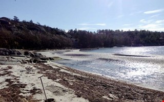 Debatt: Brist p� h�nsyn f�rd�rvar v�r badvik 