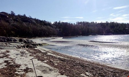 Debatt: Brist p� h�nsyn f�rd�rvar v�r badvik 