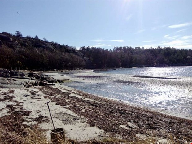 Debatt: Brist p� h�nsyn f�rd�rvar v�r badvik 