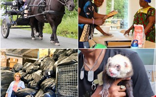 �rskr�nika: Fr�n rymmande illrar till nya lagar