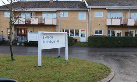 Debatt: Kontroll beh�vs � men inte genom dyra konsulter 