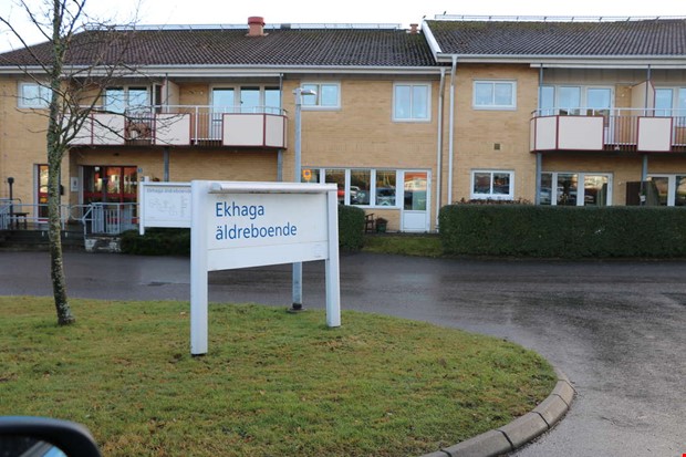 Debatt: Kontroll beh�vs � men inte genom dyra konsulter 