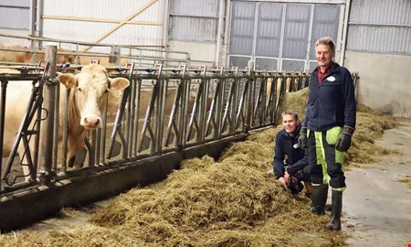 Julfirande p� g�rden � men f�rst ska djuren f� sitt