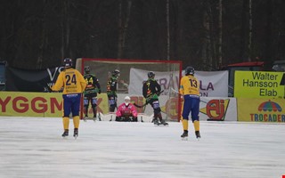 Kritiken efter f�rlusten: 