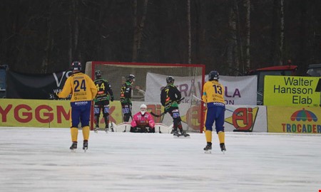 Kritiken efter f�rlusten: 